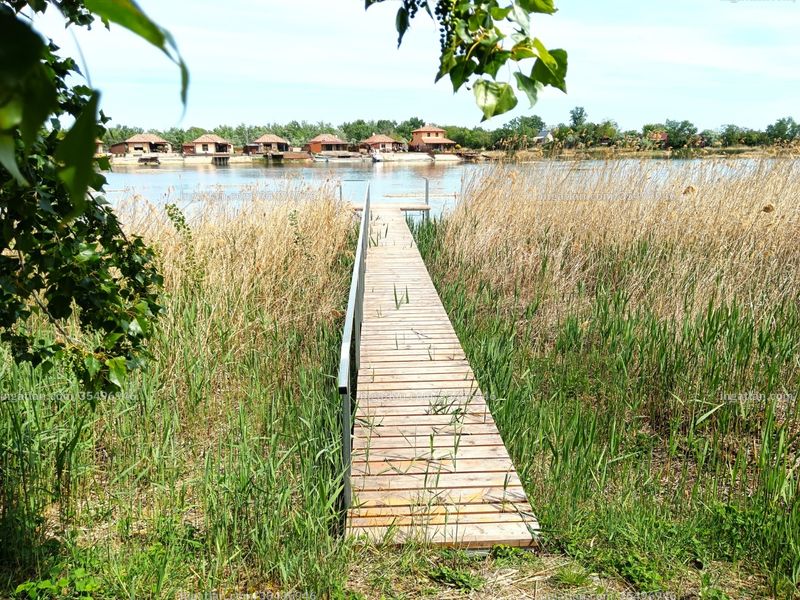 kilátás