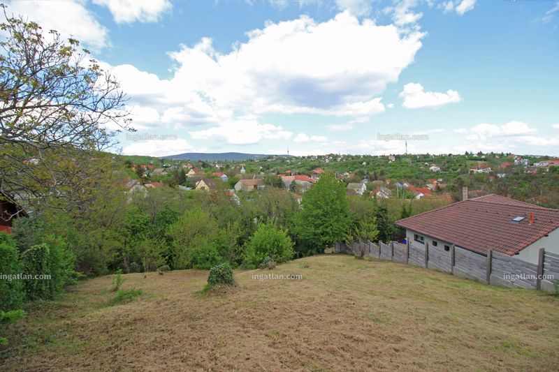 kilátás