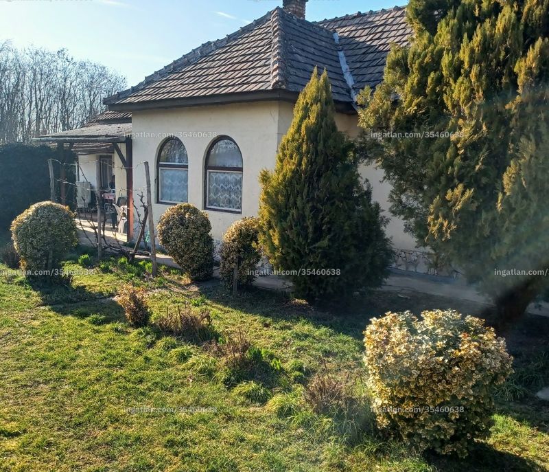 Kép az ingatlanról