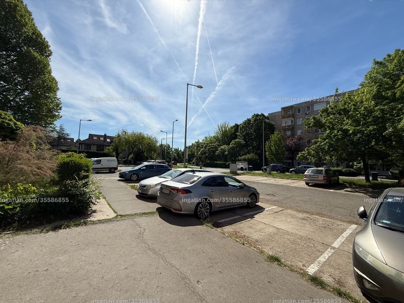 neighborhood