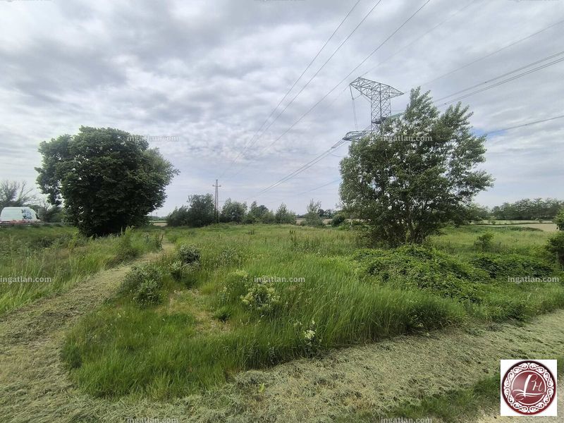 Foto auflisten