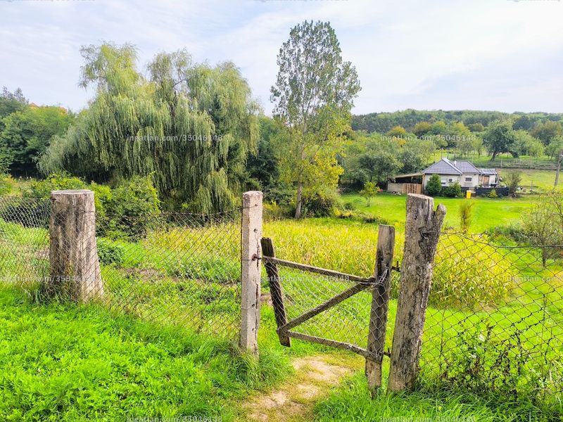 Bild über die Immobilie