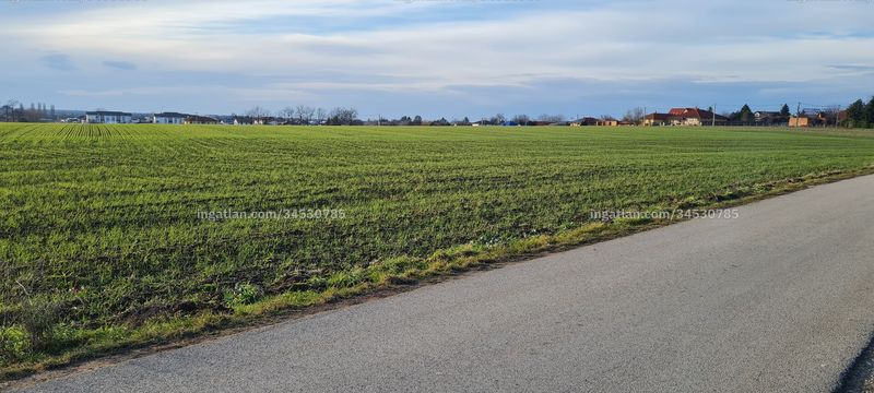 Foto auflisten