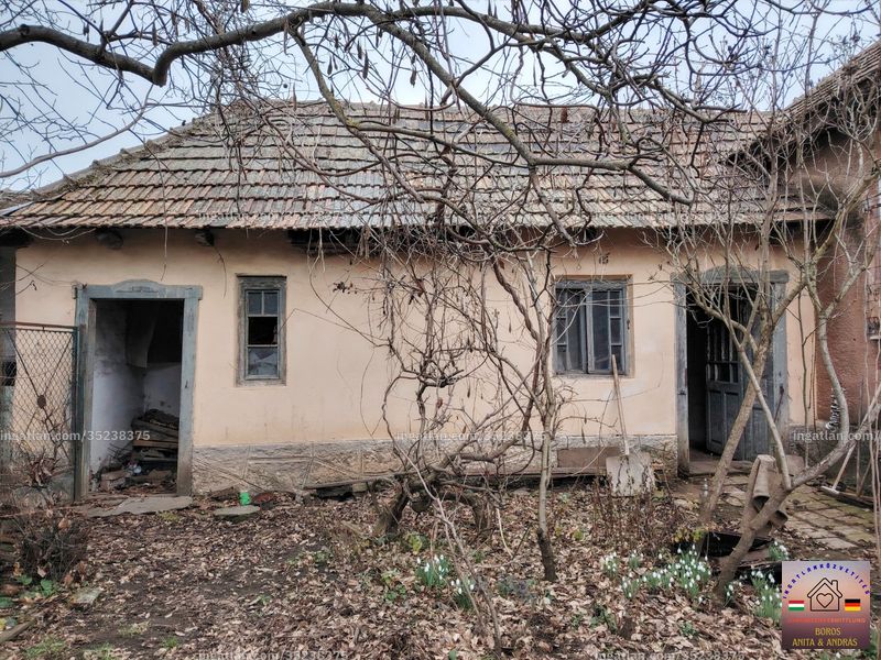 Kép az ingatlanról