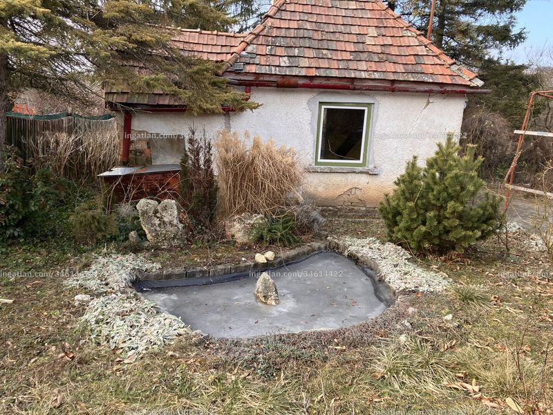 Foto auflisten
