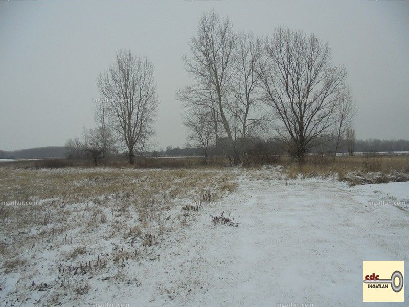 Foto auflisten