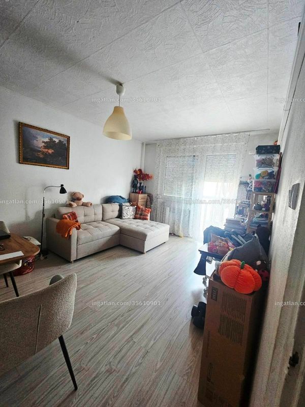 Ingatlan kép
