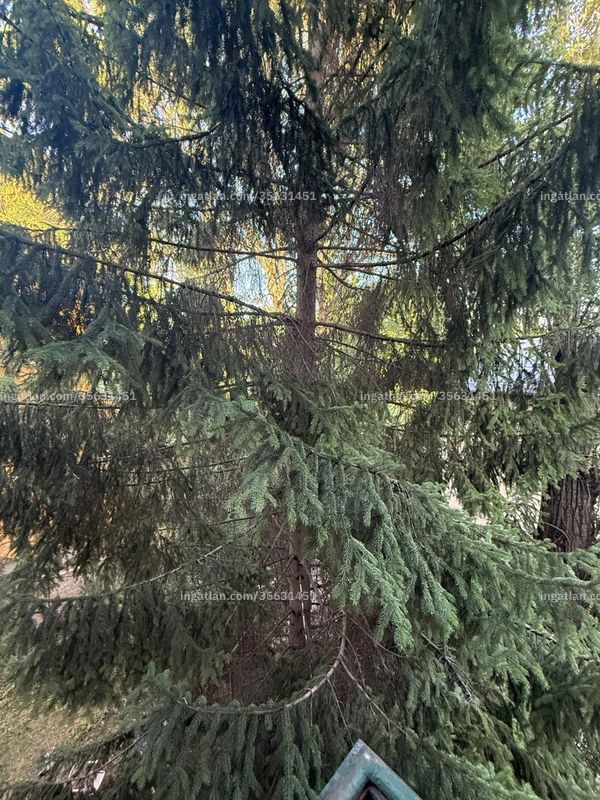Foto auflisten
