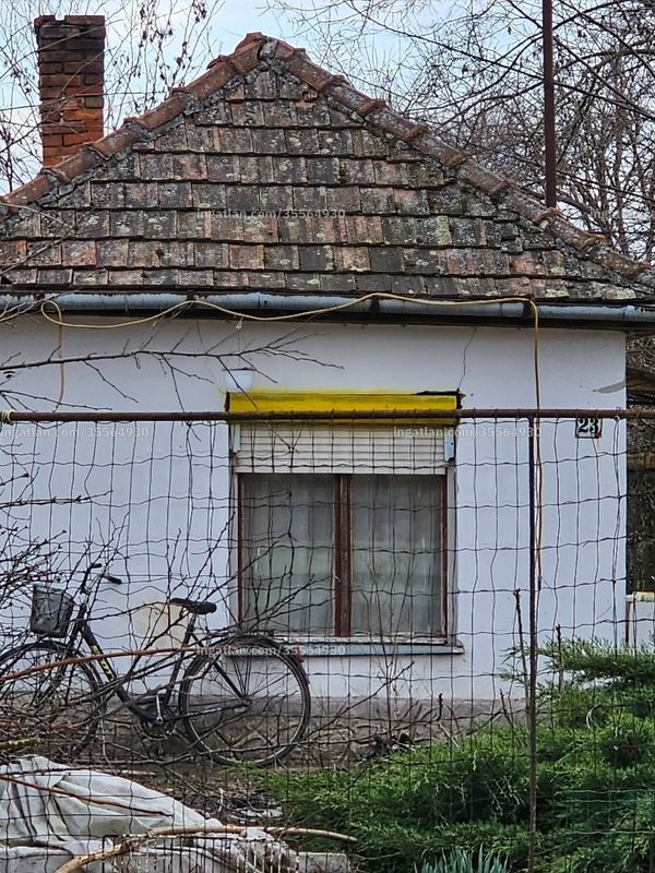 Foto auflisten