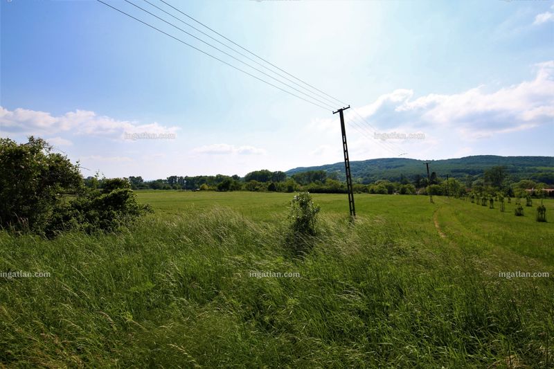 Foto auflisten