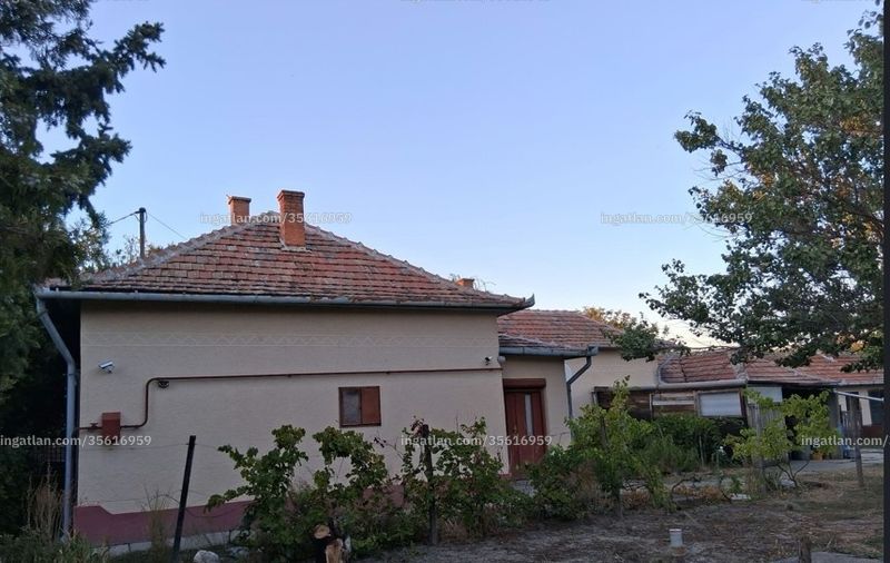 Ingatlan kép