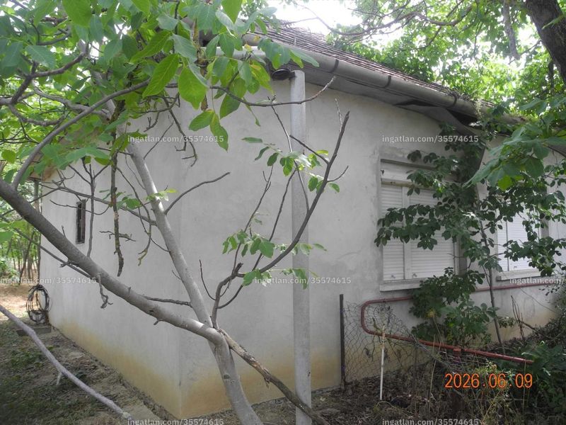 Listing photo