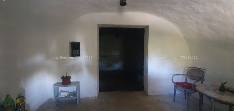 cellar