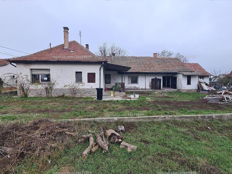 Ingatlan kép