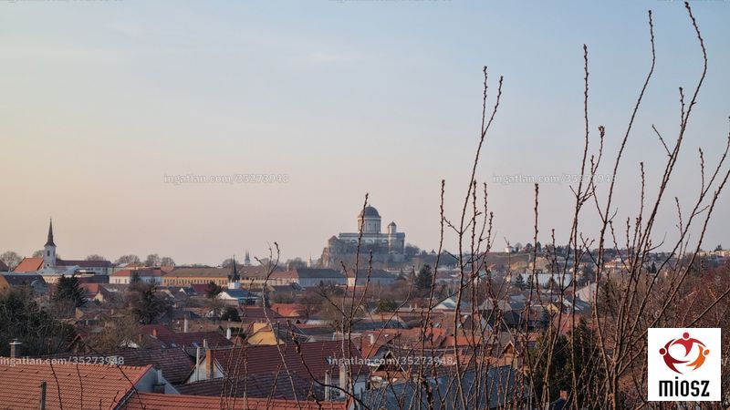 Foto auflisten