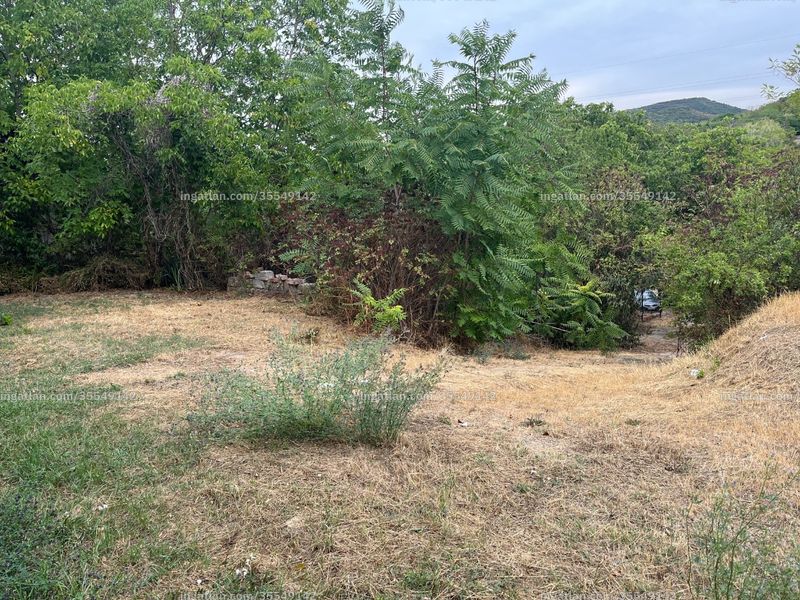 Foto auflisten