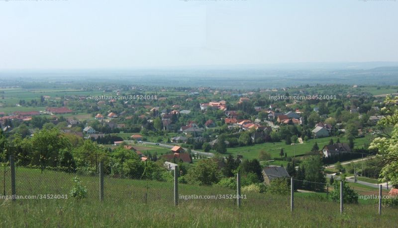 Hirdetés fotója