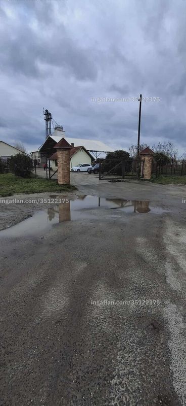 Kép az ingatlanról