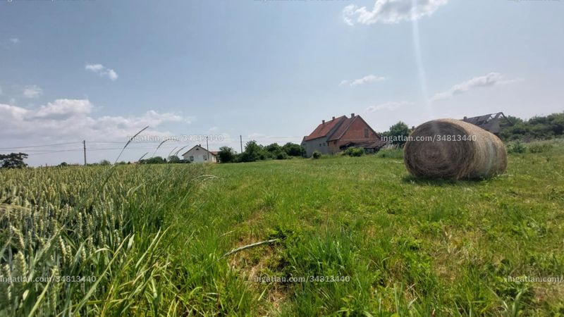 Foto auflisten