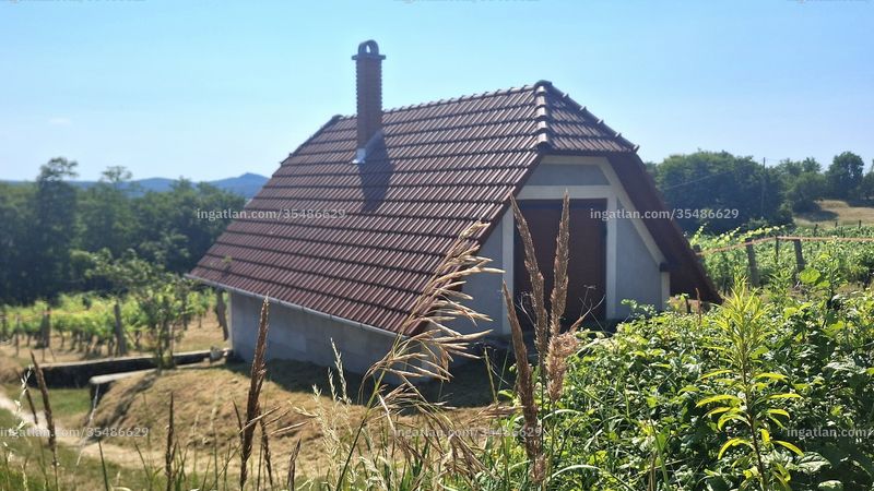 Foto auflisten