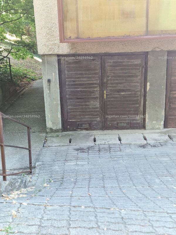 Foto auflisten