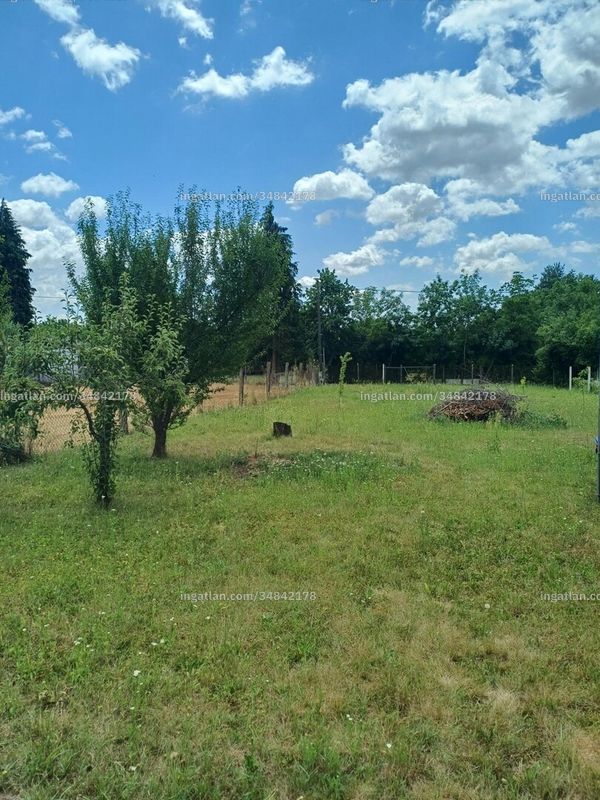 Hirdetés fotója