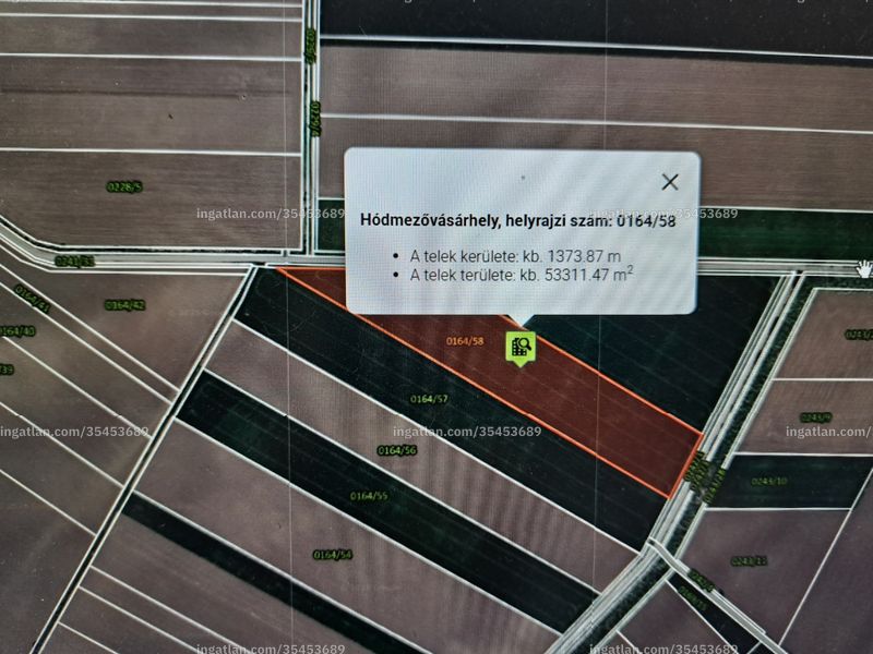 Kép az ingatlanról