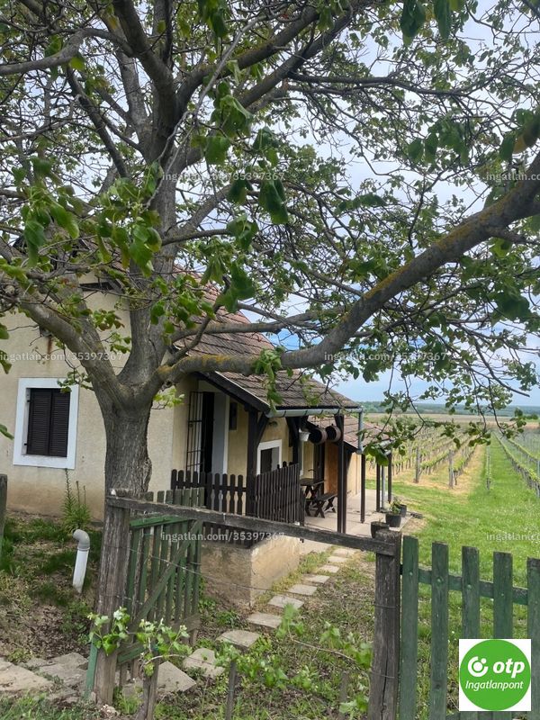 Ingatlan kép