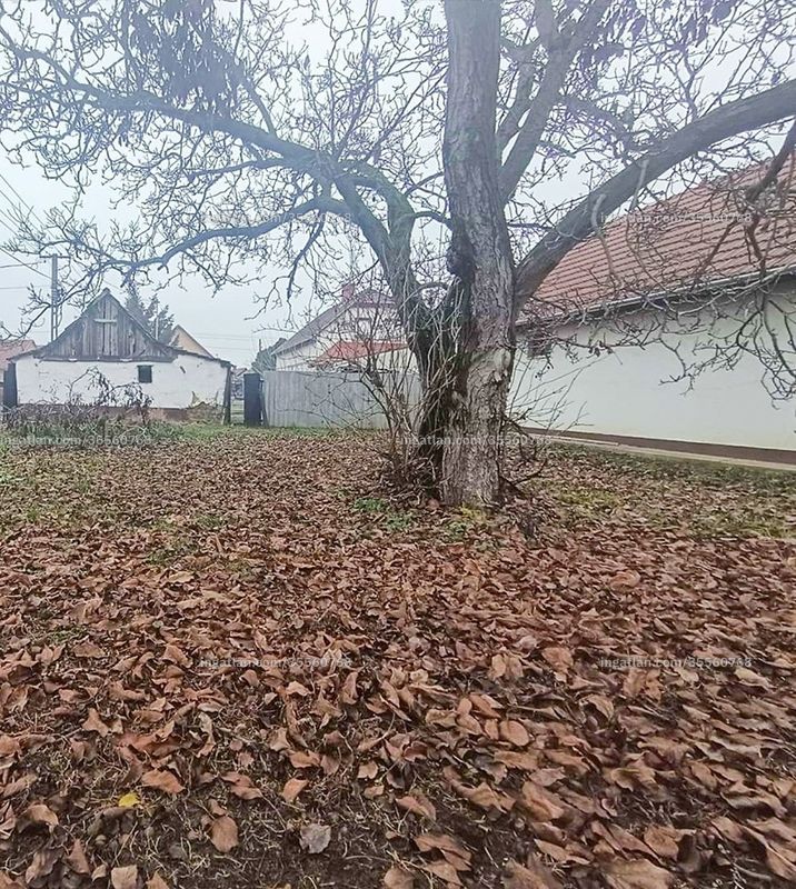 Foto auflisten