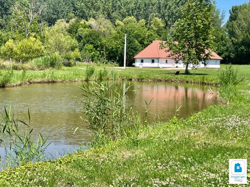Foto auflisten