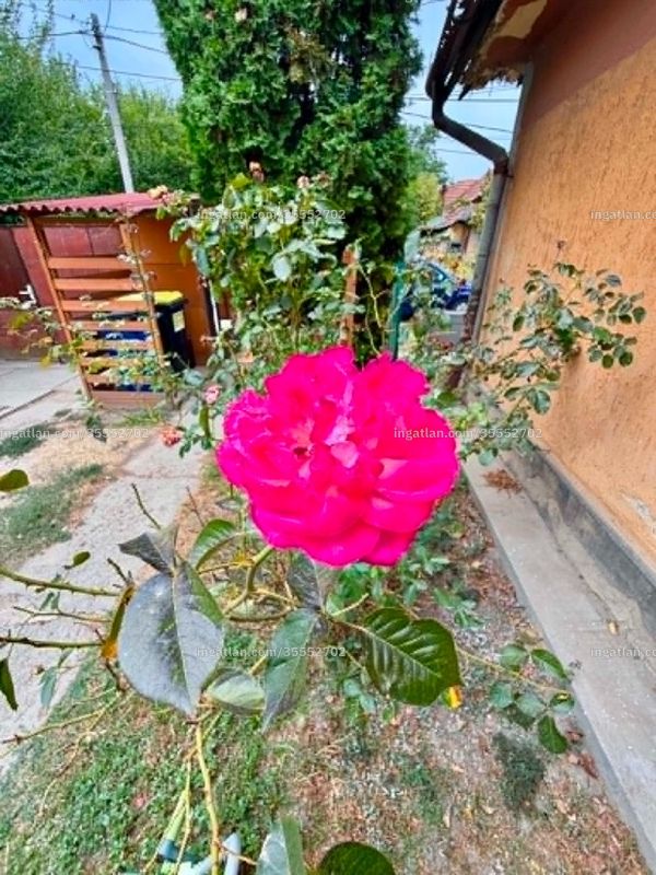 Foto auflisten