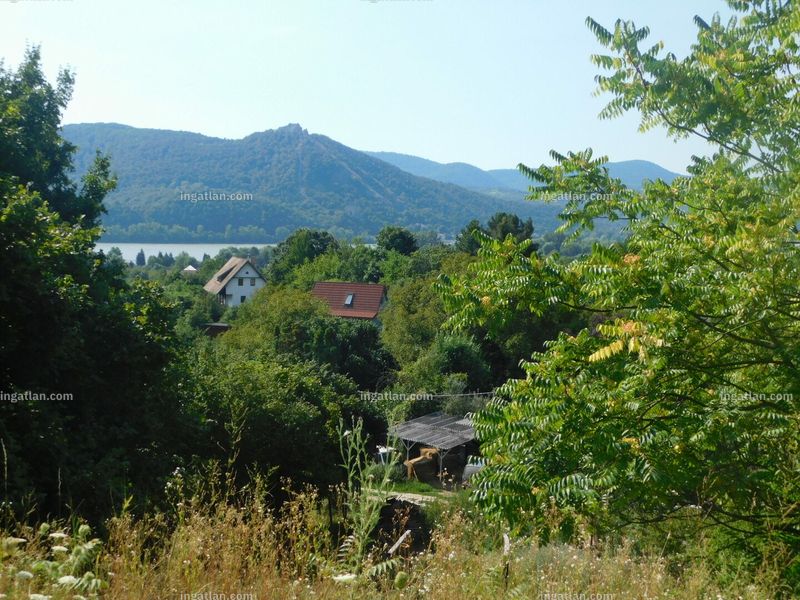 Hirdetés fotója