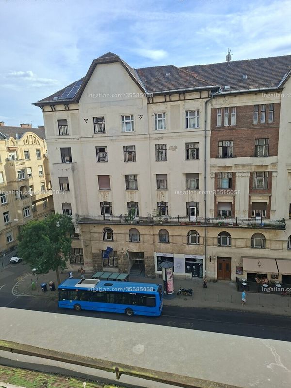 kilátás