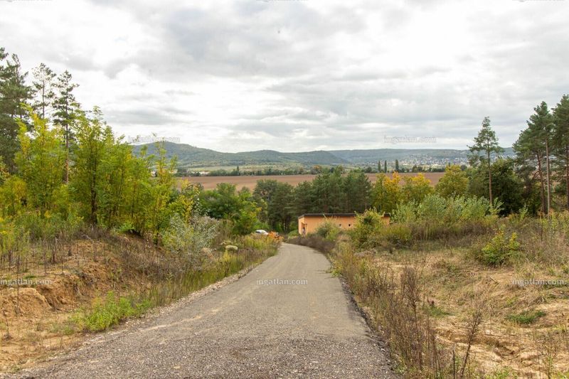 Foto auflisten