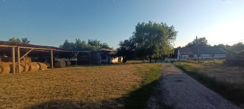Foto auflisten