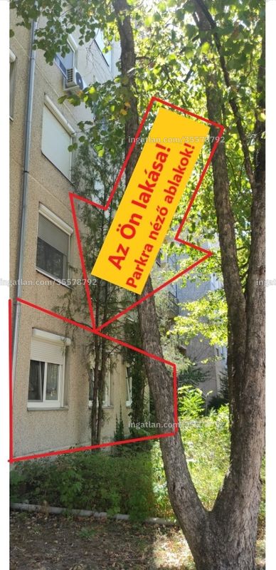 Bild über die Immobilie
