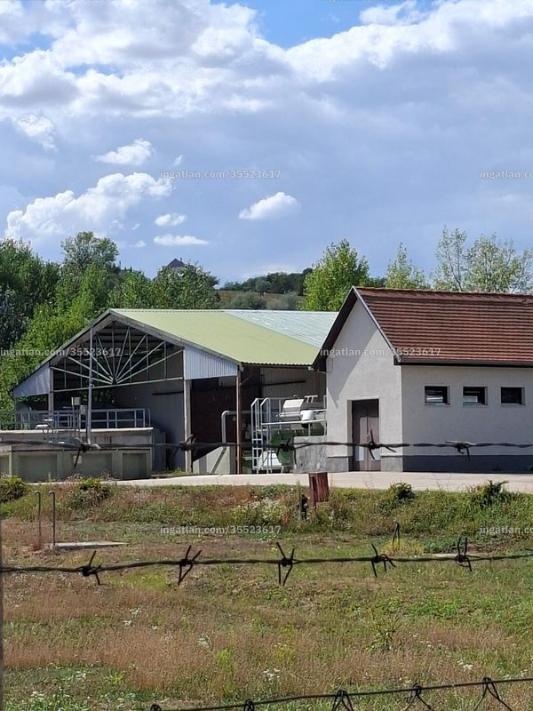 Kép az ingatlanról