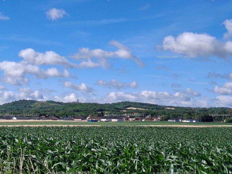 Umgebung