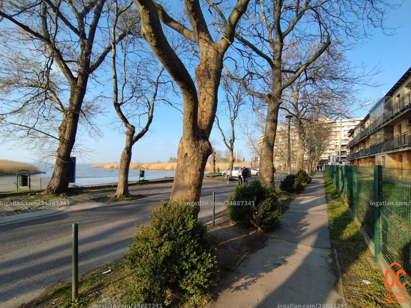 neighborhood