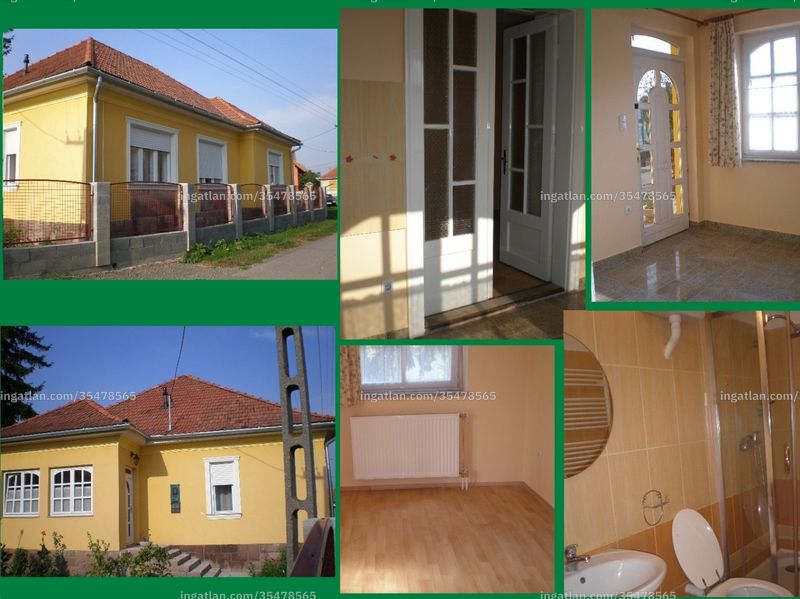Ingatlan kép