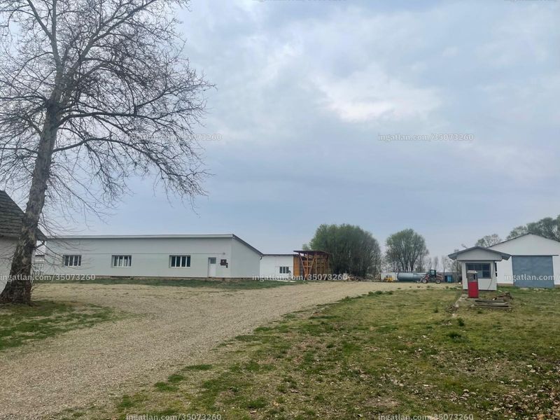 Kép az ingatlanról