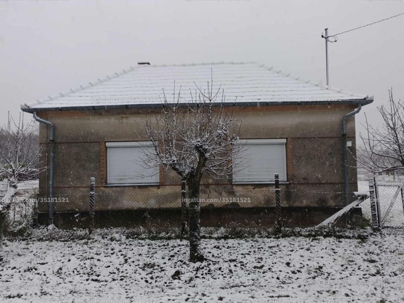 Foto auflisten