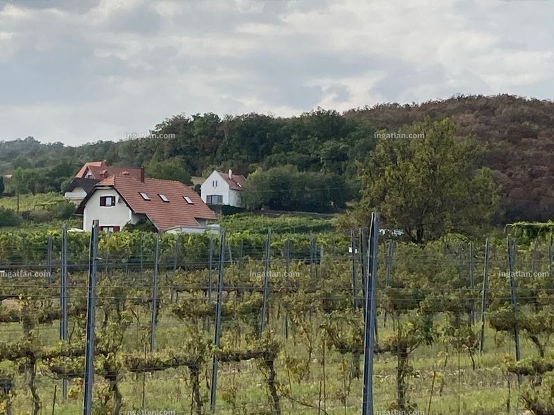 Foto auflisten