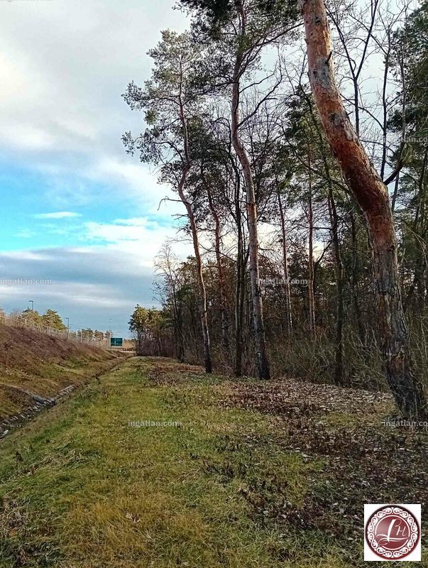 Foto auflisten