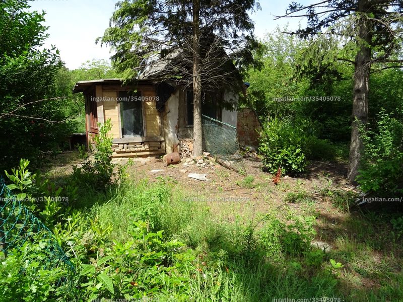 Foto auflisten