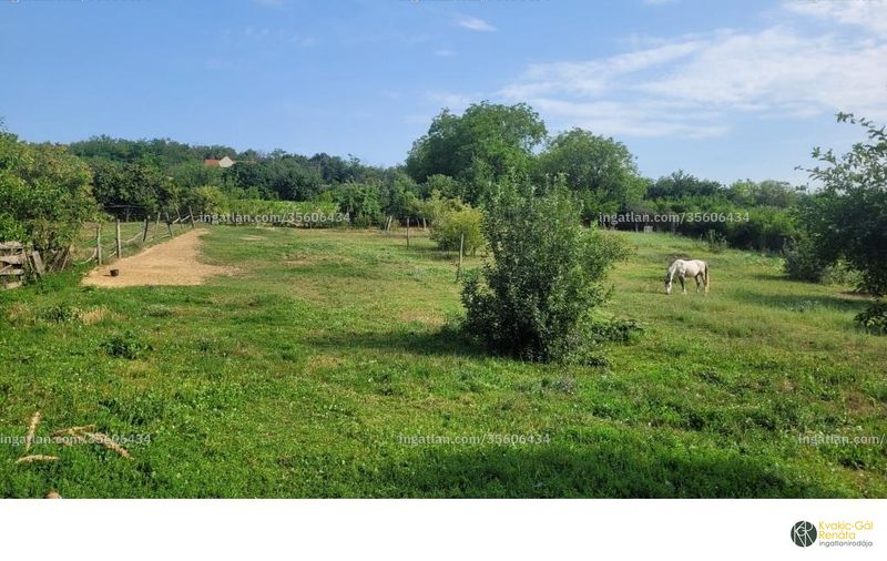 Ingatlan kép
