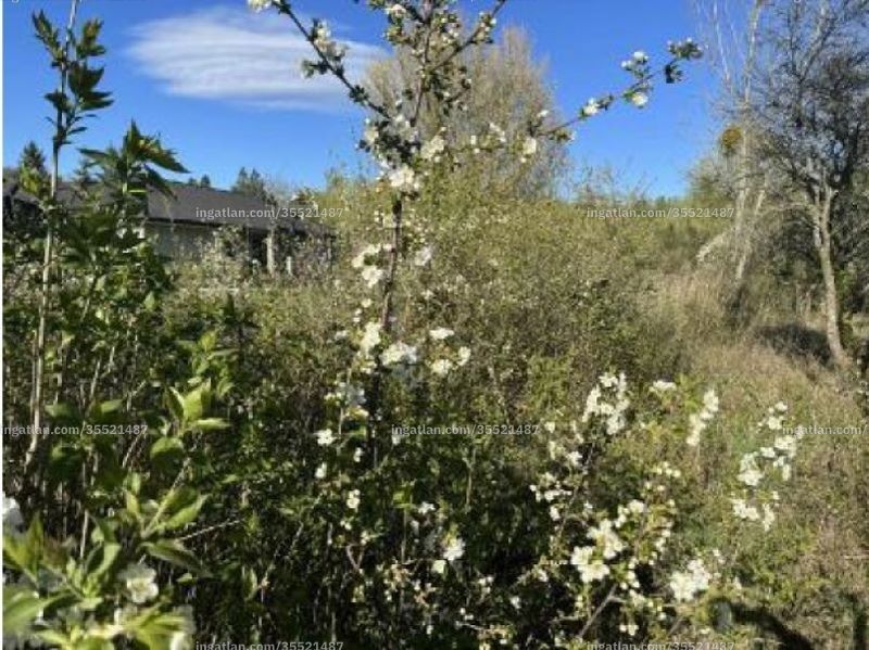 Foto auflisten