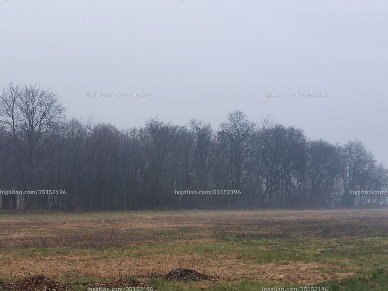 Foto auflisten