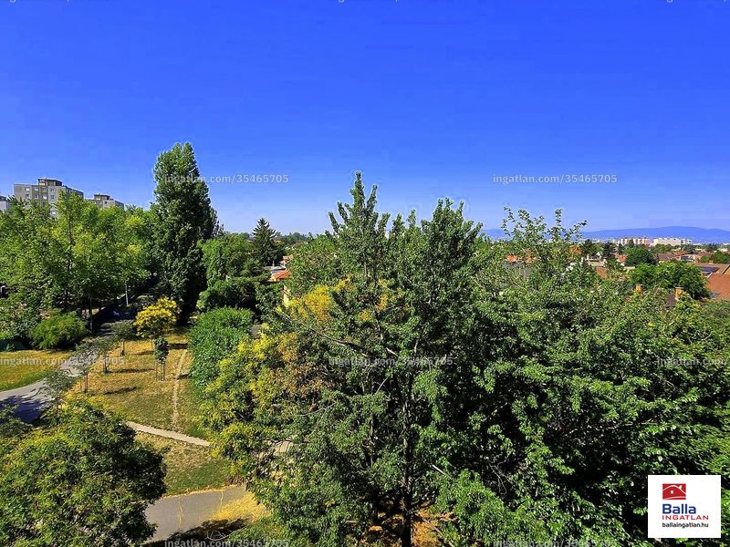 kilátás