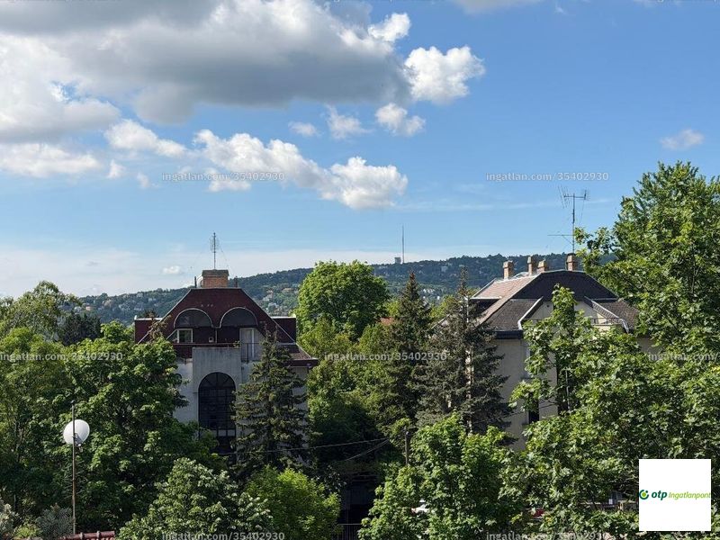 kilátás